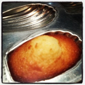 MADELEINES ROBUCHON