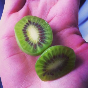 BABY KIWI