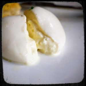 BURRATA COOPERATIVE