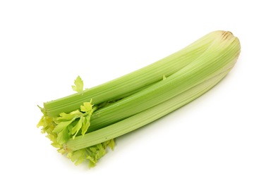 29464-celery[1]